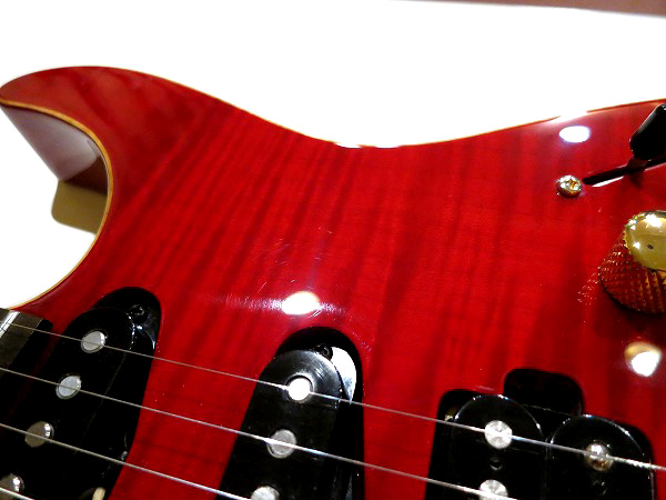 fernandesfrstandard (22).jpg